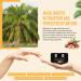 Hair Butter with 100% Pure Raw Batana Oil Batana Oil for Hair Growth Repair Damaged Hair Natural Hair Growth Oil Effective Against Regional Alopecia Hair Growth Butter for All Hair Types - Buy Online on GoSupps.com