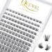 Quewel eyelash individually individual eyelash clusters lashes naturally c curl mix8-16 144stck eyelash segments wide foundation individual eyelashes for eyes make-up diy eyelash extensions (natural c-mix) 1 piece (1 Pack) natural-c-plus mix 8-16mm