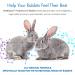 Equa Holistics HealthyGut Probiotics for Rabbits - All-Natural Digestive System Formula | 120 Servings - Buy Online on GoSupps.com