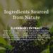 New Nordic Elderberry Vegan Gummies - 60 Count with Elderberry Extract for Immune Support - Buy Online on GoSupps.com