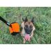 Dingo Gear Training Toy Ball - 9cm Black & Orange with 65cm Handle | French Nylcott for IGP Obedience Training | Small Ball - S02814 - Buy Online on GoSupps.com