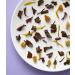 Brew Tea Co - Earl Grey Loose Leaf Tea in Classic Purple Tin - Light & Fragrant - 150g (Pack of 1) - Buy Online on GoSupps.com