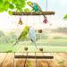 Parrot Climbing Ladder Swing Toy for Bird Cage - Chewable Wooden Perch Stand for Parrot, Conure, Finch, Cockatoo - Hanging Rope Swing for Budgie, Lovebird, Parakeets - H01 - Buy Online on GoSupps.com