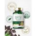 Carlyle Grapeseed Green Tea Pine Bark Capsules | 15,000mg | 150 Count | Non-GMO & Gluten-Free - Buy Online on GoSupps.com