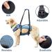 COODEO Dog Lifting Harness - Adjustable Breathable Support for Rehabilitation | Ideal for Old & Disabled Pets - Blue - International Shipping - Buy Online on GoSupps.com