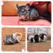 10-Piece Soft Guinea Pig Cage Fleece Mats - Colorful Pet Sleep Accessories for Small Animals (30x30 cm) - Buy Online on GoSupps.com