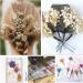 50Pcs Mini Dried Baby's Breath Flowers - Ivory White Bulk Gypsophila Bouquet for Resin Art & DIY Crafts | Perfect Mother's Day Gift, Wedding Decor, Card Making, Home Decor - Buy Online on GoSupps.com