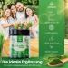 Vimion Pure Barley Grass Juice Powder - Premium Raw Vegan Superfood Rich in Iron & Vitamins (75g) - Buy Online on GoSupps.com