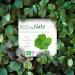 ECO by Naty Nursing Pads - Plant-Based Nipple Pads for Breastfeeding Pregnancy & Postpartum (30 Pads) - Eco-Friendly & Safe for Moms - Buy Online on GoSupps.com