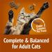 Friskies Party Mix Cat Treats Chicken Lovers Crunch with Real Chicken - 170 g Pouch (1 Pack) Chicken Lovers Crunch 170 g (Pack of 1) - Buy Online on GoSupps.com