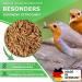 Tamy Soldier Flying Larvae Dried 500g - High-Protein Bird Fish Turtle & Reptile Feed | Black Soldier Fly Nutrition - Buy Online on GoSupps.com