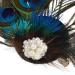 LALAFINA Barrette Jeweled Headbands for Women Peacock Fascinator Bride Headpieces for Wedding Facinator Peacock Fascinators for Women Bridal Headpiece Bridal Headdress Hair Miss - Buy Online on GoSupps.com