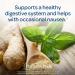 Ginger Root 550mg - Digestive Health Support | Puritan's Pride 200 Rapid Release Capsules - Buy Online on GoSupps.com