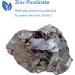 Zinc Picolinate 25mg - Immune, Mood & Bone Support - 60 Capsules by Allergy Research Group - Buy Online on GoSupps.com