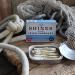 Shines Tinned Irish Sardines in Olive Oil Tomato Sauce and Spring Water - Pilchards - 3x 106g Cans - Buy Online on GoSupps.com