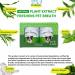 Petstoral Natural Dog Dental Powder Dog Dental Care - Plaque Remover and Bad Breath Treatment Healthy Gums & Fresh Breath for All Dogs and Cats (2) - Buy Online on GoSupps.com