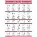 Resistance Bands & Loops Workout Posters 2 Pack - Laminated Exercise Charts - Light 18x24 - Buy Online on GoSupps.com