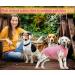 Cool Combed Cotton Dog Shirt for Medium-Sized Dogs | Sychien Striped Pink & Gray T-Shirt for French Bulldogs - Buy Online on GoSupps.com