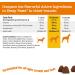 Dog Immune Chews - Dog Supplements for Immune Support & Gut Health Formulated with Salmon Oil and Omega 3 for Itchy Skin Relief Peanut Butter Flavor 60 Count Zesty Paws - Buy Online on GoSupps.com