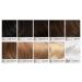 ARCTIC FOX Wrath Vegan & Cruelty-Free Semi-Permanent Hair Dye 8 Fl Oz - Long-Lasting Color (Pack of 1) - Buy Online on GoSupps.com