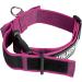 Julius-K9 Adjustable K9 Neck Band with Handle - Pink Gray 40mm (38-53 cm) | Safety Closure & Logo - International Shipping Available - Buy Online on GoSupps.com
