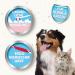 Beaphar Dog & Cat Toothbrush - Double Head Ergonomic Grip Special Bristle Cut for Effective Dental Cleaning - Buy Online on GoSupps.com