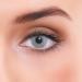 Lzotica very strong naturally covering gray annual lenses colored Atlantis gray + container 1 pair (2 pieces) dia 14.00 without strength 0.00 diopters contact lenses without prescription soft lens
