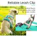 Thinkpet XL Reflective Dog Harness with Handle | Adjustable Breathable No Choke Design | Blue-Green - Perfect for Easy Control and Comfort - Buy Online on GoSupps.com