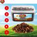  Bite & Delight Bite & Delight 8kg Dried Malayer Sultana Raisins Natural Dried Fruit No Additives No Sugar Sun-Dried Fresh and Large - Buy Online on GoSupps.com