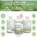 B-Complex Zen Helps to Relieve Stress - Complete & Well-Balanced Natural Formula with Hops Chamomile & Moringa Fast Absorption 500ml Vegan- Non-GMO Gluten Free Sugar Free - Made in Canada - Buy Online on GoSupps.com