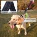 Vivaglory Short Dog Leash - 32cm Traffic Leash for Medium & Large Dogs - Black/Red - Buy Online on GoSupps.com