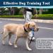 Dog Handlebar Harness - No Pull Soft Halter with Safety Clip for Heavy Pulling - Durable Training Gear for Medium & Large Dogs (Snout: 7-12.5) - Buy Online on GoSupps.com