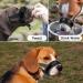 Morlevivi Dog Head Collar The Gentle Leader of Large Dogs.A Tension-Free Training Tool for Walking Dogs.Adjustable Dog Collar - Buy Online on GoSupps.com