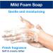 Tork Mild Fragrant Hand Foam Soap S4 - 1 000 ml (Pack of 3) | Reduces Consumption | Buy Online for International Shipping - Buy Online on GoSupps.com