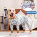 Yeapeeto Dog Recovery Suit 5XL Bear - Soft Neuter Shirt Cone Alternative for Large/Medium Dogs - Prevent Licking & Shedding - Surgical Onesie After Surgery - Buy Online on GoSupps.com