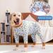 YeaPeeto XL One-Divider Pajamas for Dogs | Relaxation & Wound Protection | Anti-Lick & Allergy Solutions for Medium & Large Breeds - Buy Online on GoSupps.com