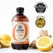 Gutsy Captain Kombucha Zero - Zero Calories & Sugar | Raw Vegan Bio Kombucha Tea | 12 x 400ml Mix Box - Unpasteurized Living Cultures - Buy Online on GoSupps.com