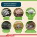 Buy Lucky Reptile Tortoise Bedding 50L - Premium Tortoise Soil for Healthy Habitat | International Shipping Available - Buy Online on GoSupps.com