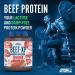 Applied Nutrition Beef XP - Clear Hydrolysed Beef Protein Isolate Fruit Juice Style Dairy Free Beef Protein Powder Lactose Free Zero Sugar Low Fat 1.8kg - 60 Servings (Blue Raspberry) Raspberry 1.8Kg (Pack of 1) - Buy Online on GoSupps.com