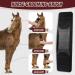 Tuofang 6-in-1 Multifunctional Horse Brush & Massage Comb for Effective Grooming - Black - Buy Online on GoSupps.com
