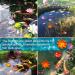 Peak-EU 5 Pcs Artificial Water Lilies | 10cm Floating Lotus Flowers for Aquarium & Pond Decoration - Buy Online on GoSupps.com
