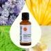 Plant Therapy Sparkling Lavender Laundry Essential Oil Blend 30 mL (1 oz) Pure Undiluted Wash Fragrance and Scent Enhancer - Buy Online on GoSupps.com