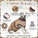 Kuoser Large Dog Surgical Recovery Suit L for Male & Female Dogs - Brown Post-Surgery Body Suit - Buy Online on GoSupps.com