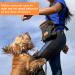 Buy Pecute Dog Training Treats & Portable Feed Bag Lightweight & Functional Pocket for Walking & Training - Stylish Black & Orange - Buy Online on GoSupps.com