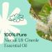 Plant Therapy Niaouli 1 8-Cineole Essential Oil 10 mL (1/3 oz) 100% Pure Undiluted Aromatherapy Soothing Essential Oils for Skin Irritation and Muscle Soreness - Buy Online on GoSupps.com
