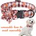 Unique Style Paws Halloween Dog Collar - Adjustable Flower Neckband for Small Dogs | Pumpkin Design XS (8-12in) with Metal Buckle - Buy Online on GoSupps.com