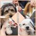 PROUSKY Pet Combs Metal Stainless Steel Pet Grooming Comb Rust Resistant Comb Row Teeth Pet Comb Large Medium Small Dogs Cats Fur Detangling Tool Pets 1 Pack Silver - Buy Online on GoSupps.com