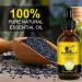 HXTMKT Organic Black Seed Oil - Cold Pressed Cumin Oil for Hair Growth & Skin Care | 2 Fl Oz with Scalp Massage Comb - Buy Online on GoSupps.com
