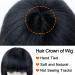 Queentas 10 Bob Wig for Women - 100% Human Hair Wig for Black Women | Best Quality & Comfortable Fit - Buy Online on GoSupps.com