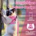 Supet Cat Dishes & Breaking-Safe Leash - Soft Vest for Kittens & Small Dogs (Chihuahua) - Pink Size L (Chest 38-43 cm) - Buy Online on GoSupps.com
